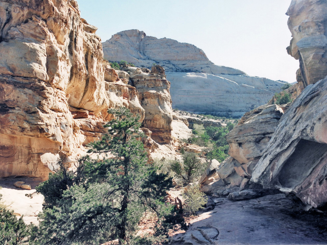 Canyon along the trail