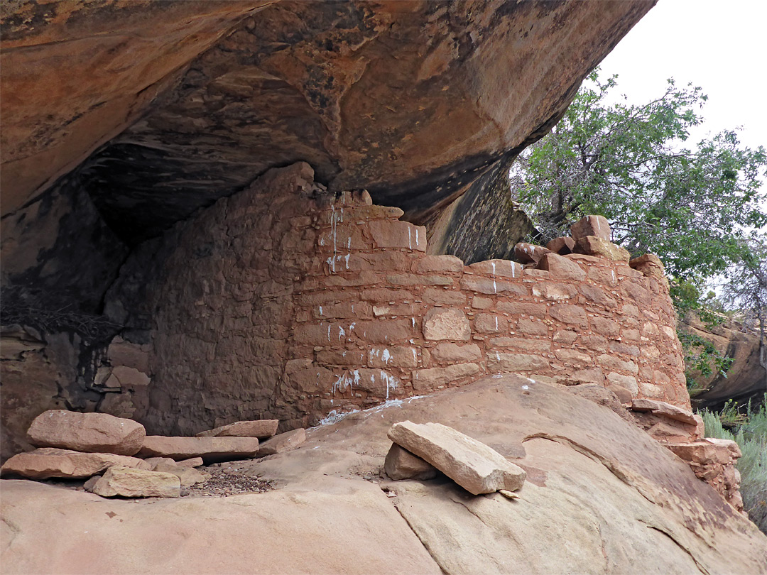 Alcove ruin