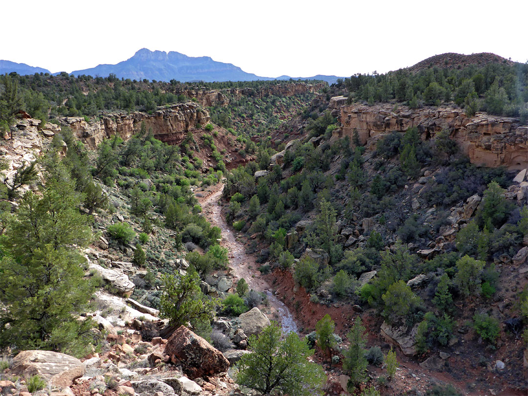 Canyon of Huber Wash