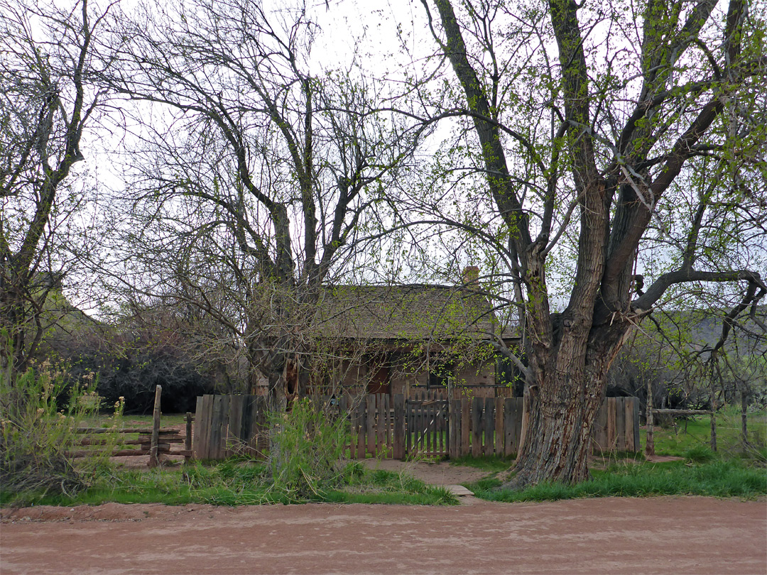 Road in front of John Wood home