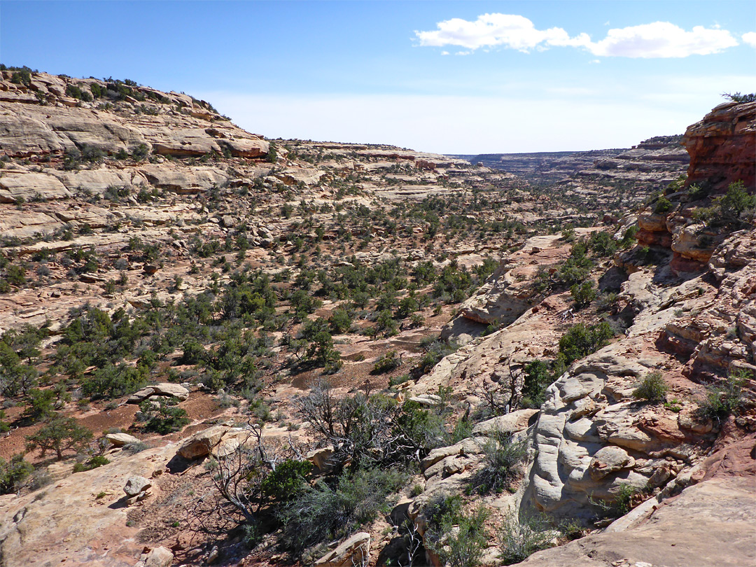 Canyon walls