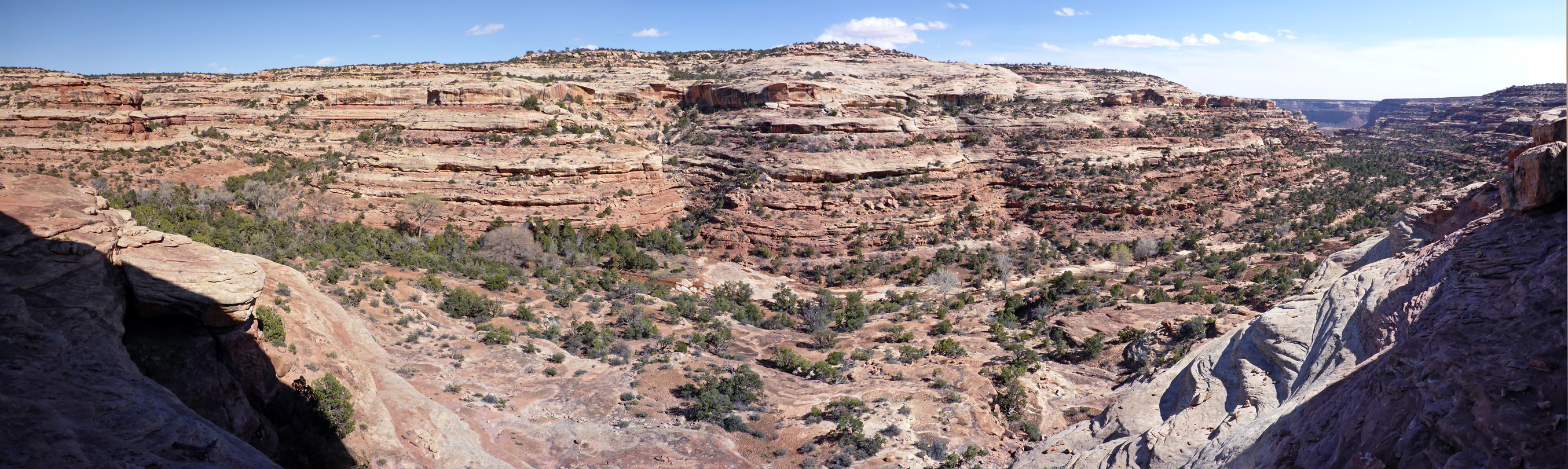 Panorama of the canyon