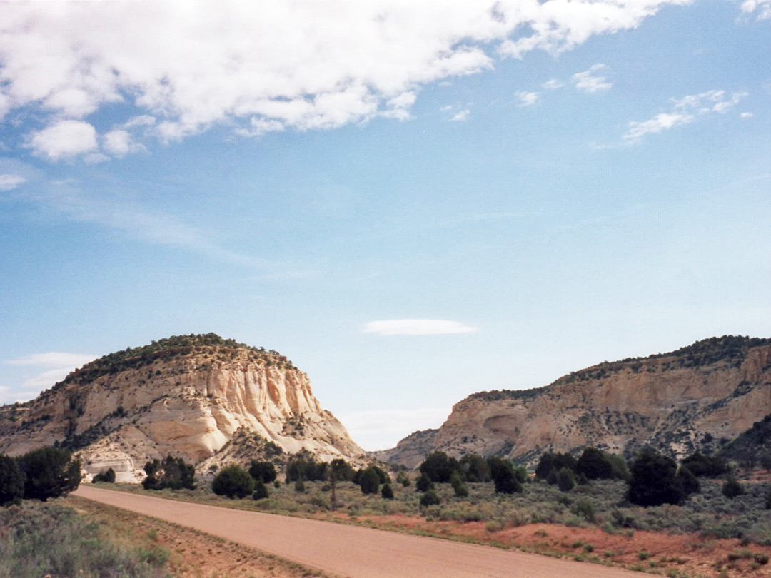 Road through Johnson Canyon