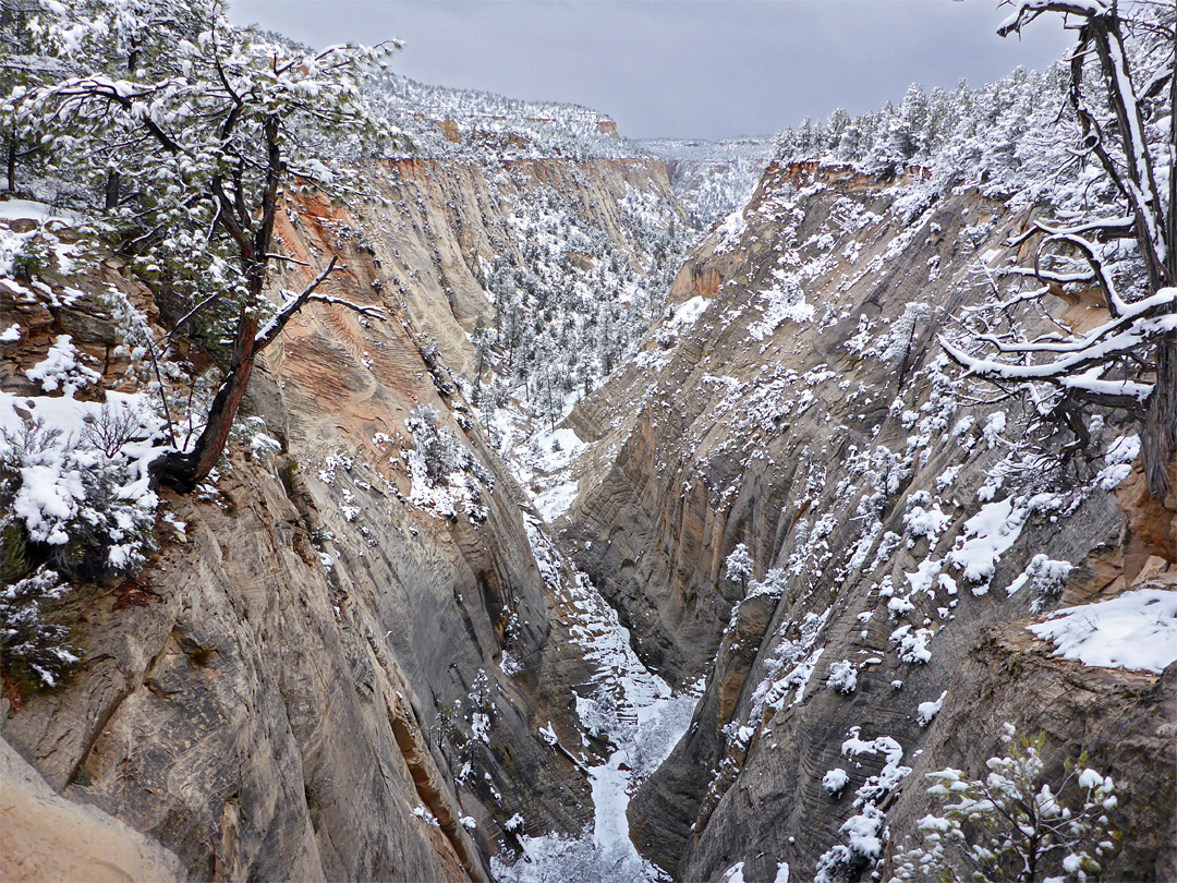 Snow in Jolley Gulch