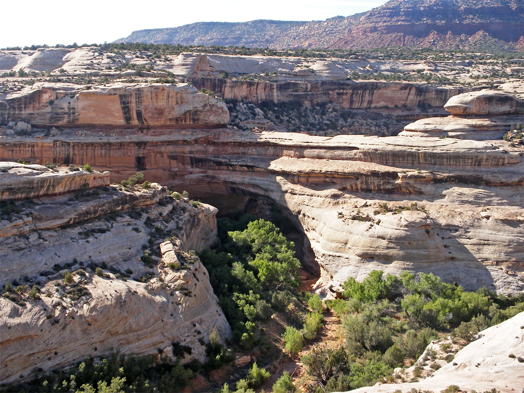 Kachina Bridge, from the overlook