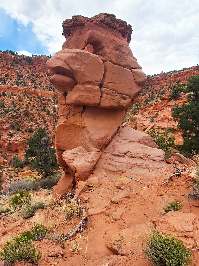 Chicken rock