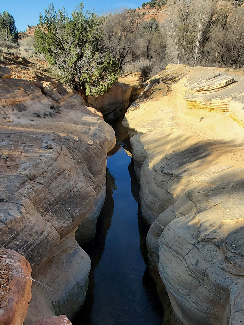 Kanab Creek