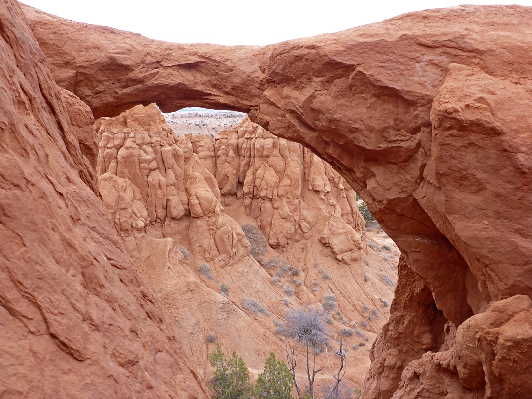 The arch