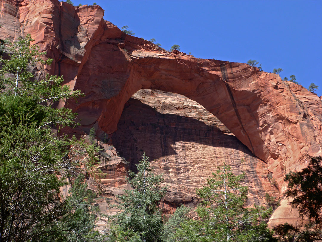 La Verkin Creek Trail, Kolob Canyons, Zion National Park, Utah