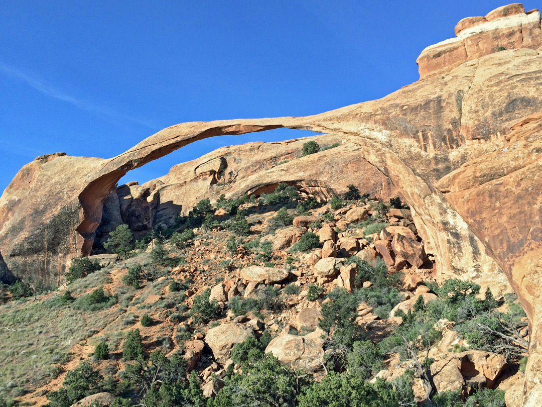 Hillside below Landscape Arch