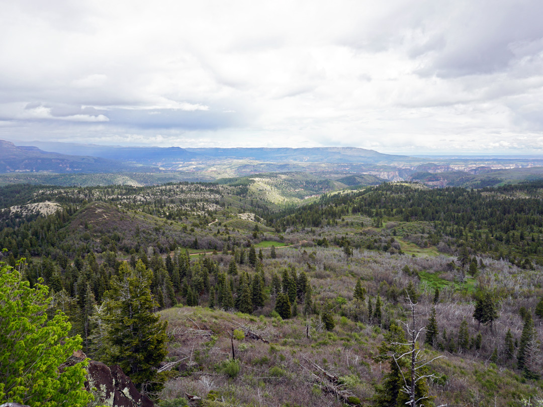 View south from Lava Point