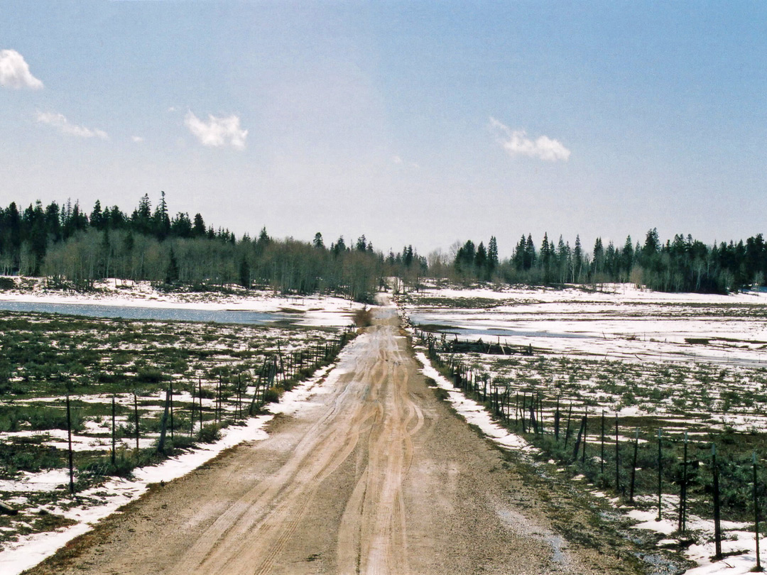 Road to Lava Point