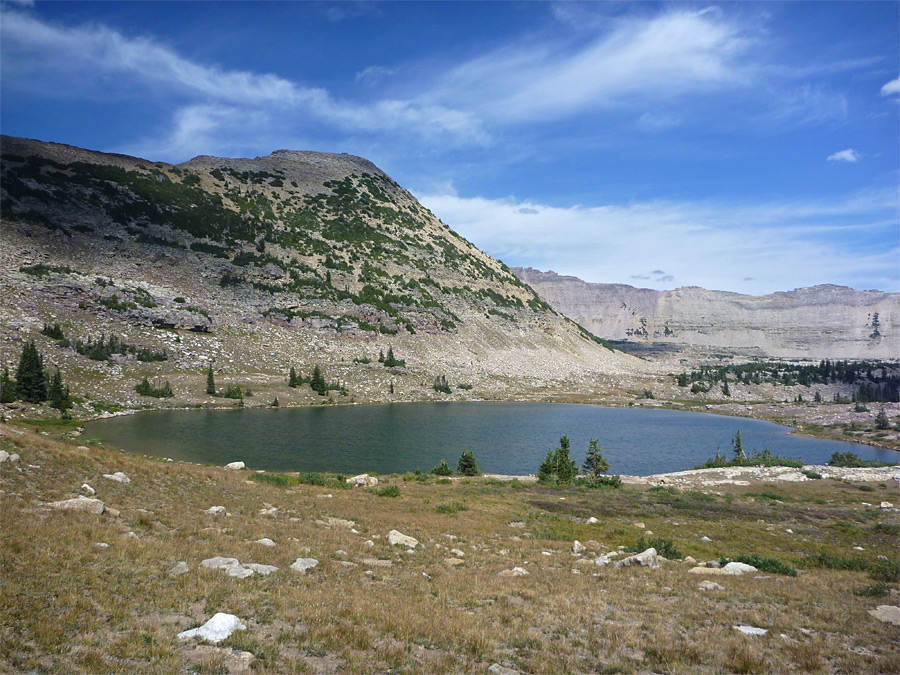 Edge of Leconte Lake