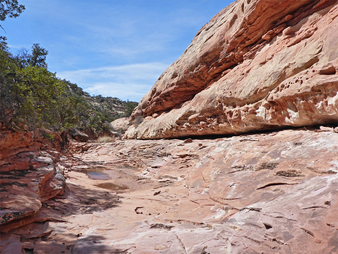 Flat streambed