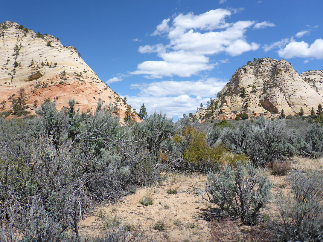 Lost Peak
