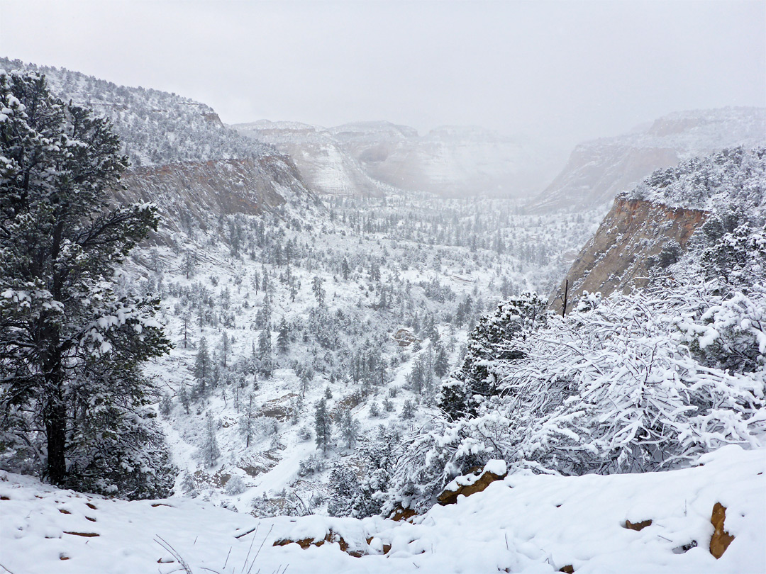 Clouds above Jolley Gulch