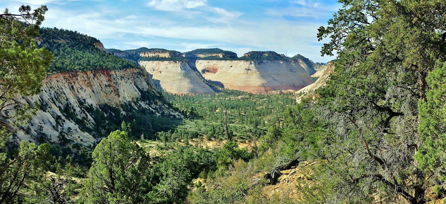 Lower Jolley Gulch