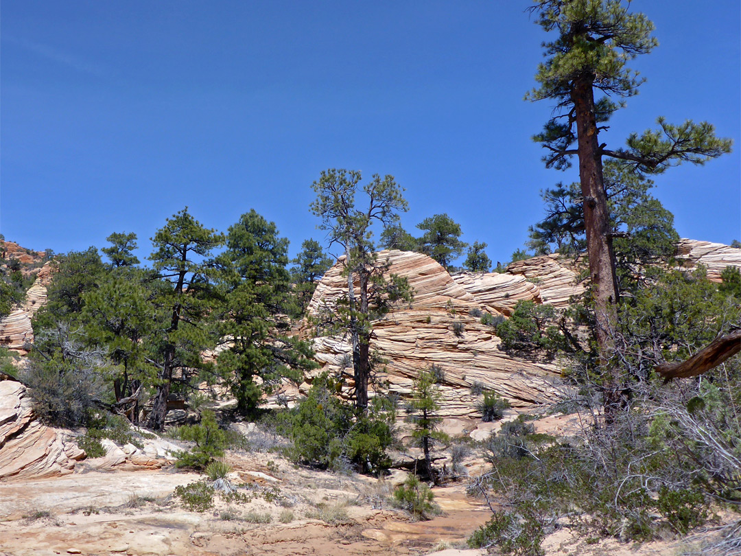 Sandstone formations