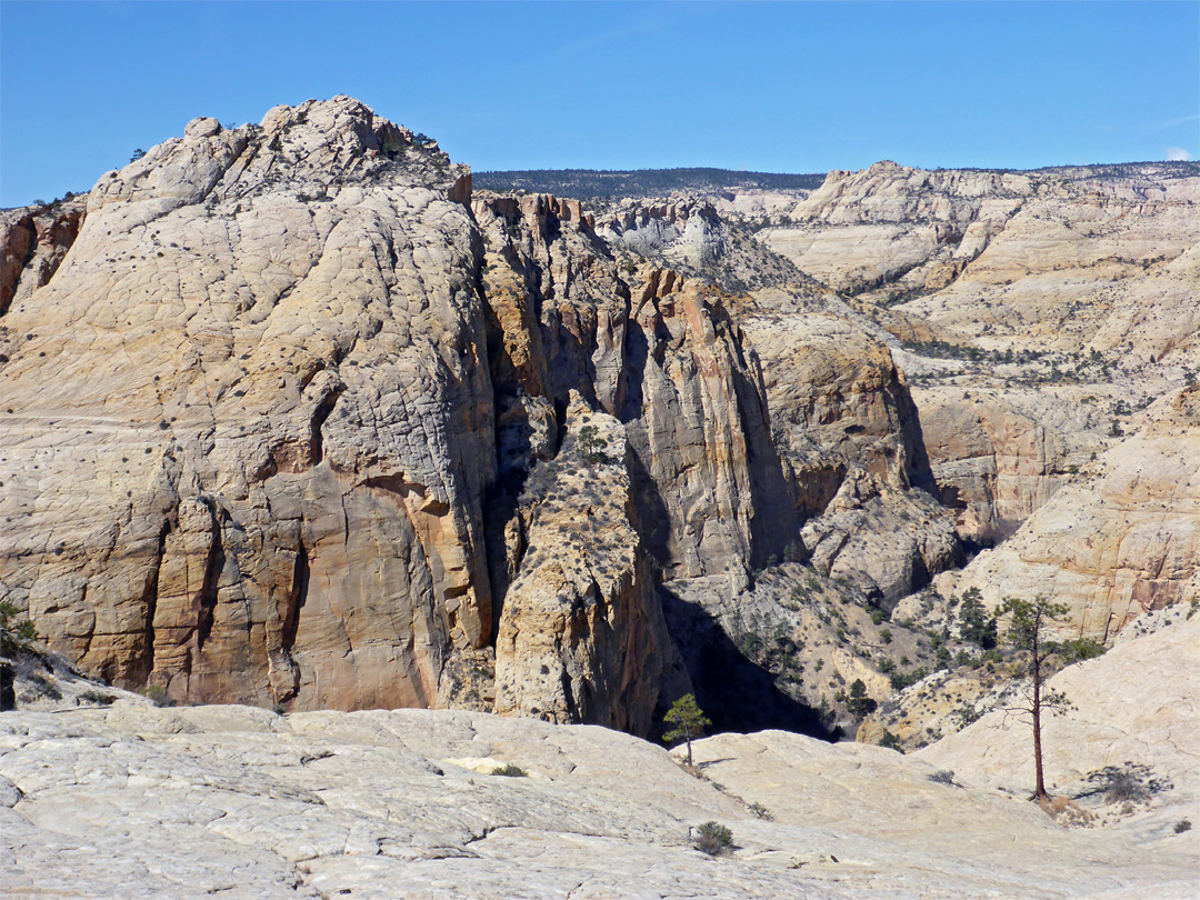 White sandstone