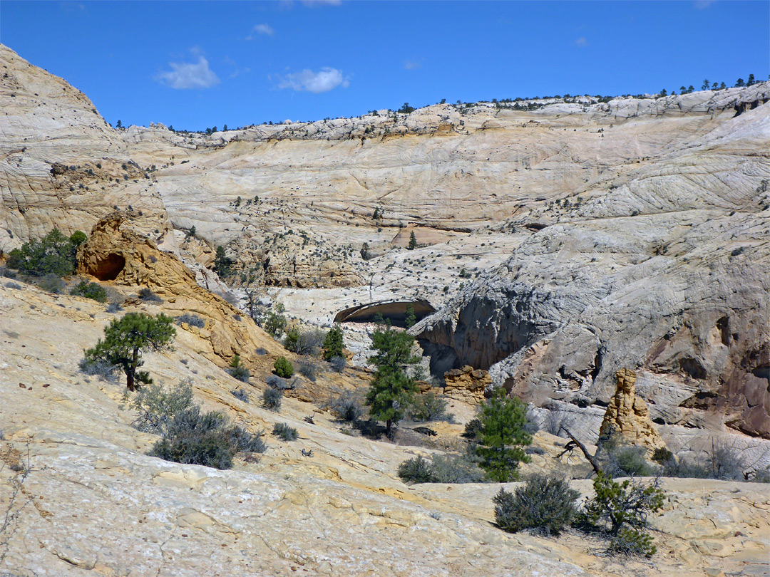 Yellow sandstone outcrops