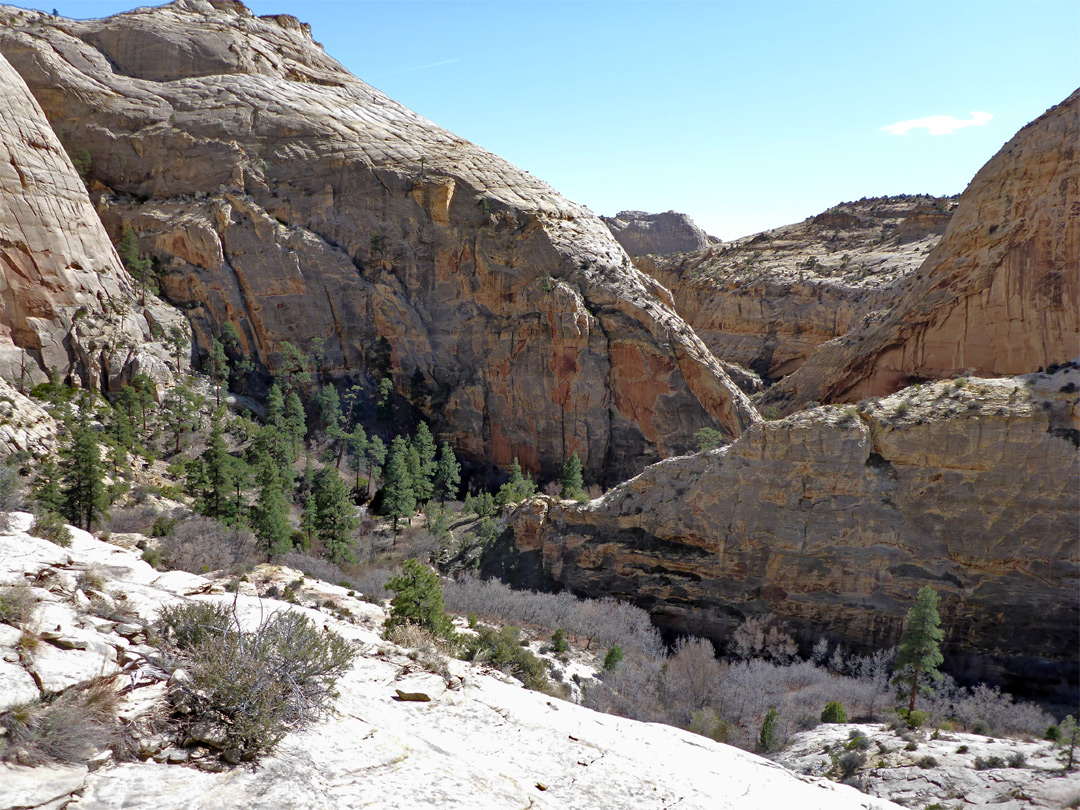 Cliffs enclosing Death Hollow