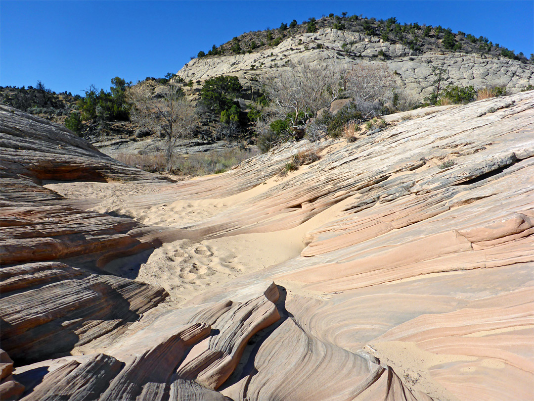 Sandy dry wash