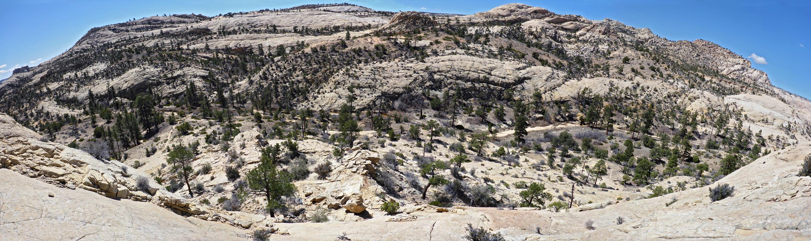 Slopes above Mamie Creek