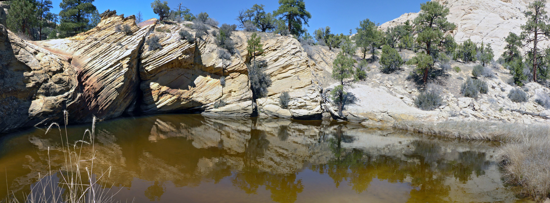 Rocks beside a pool