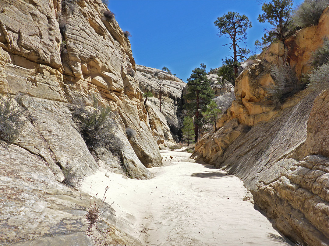 Cliff-lined ravine