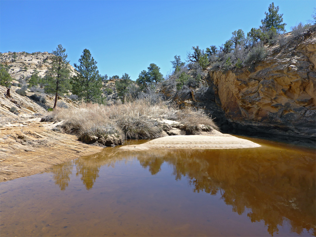 Pool on Mamie Creek