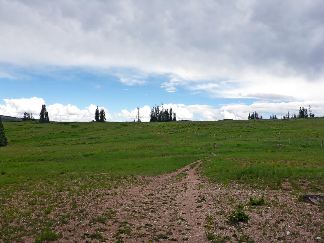 Meadow near the trailhead