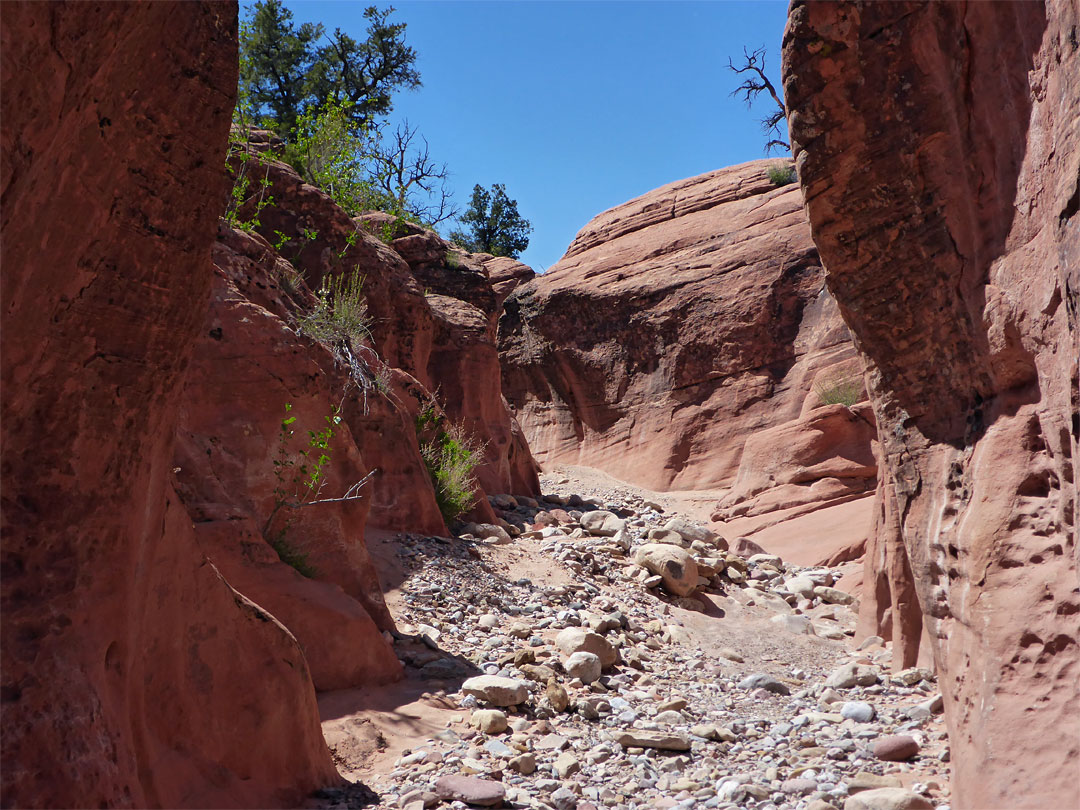 Pebbly streambed