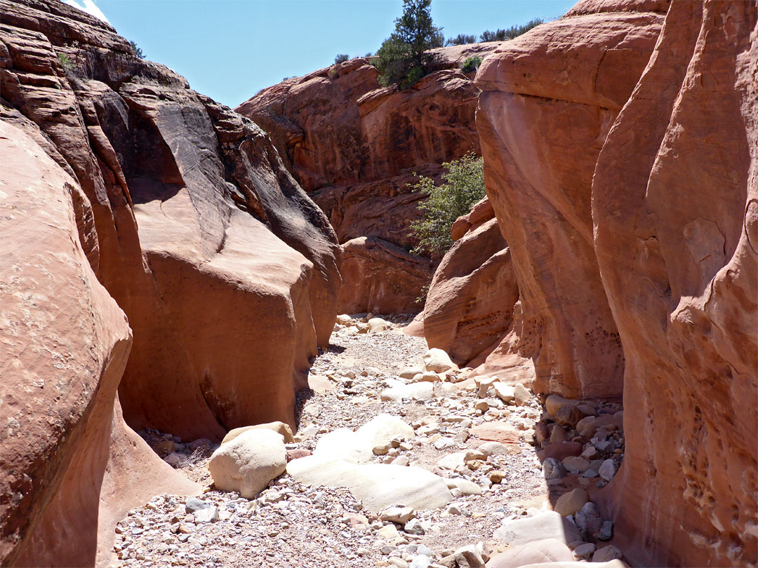 Undulating rock walls