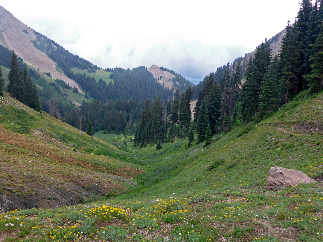 Valley below Burro Pass