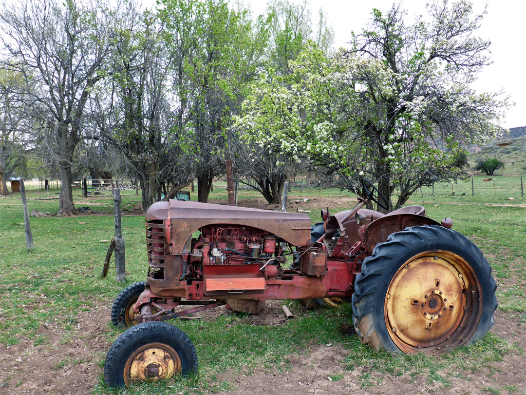 Massey Harris tractor