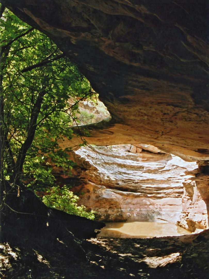 Underneath Maverick Natural Bridge