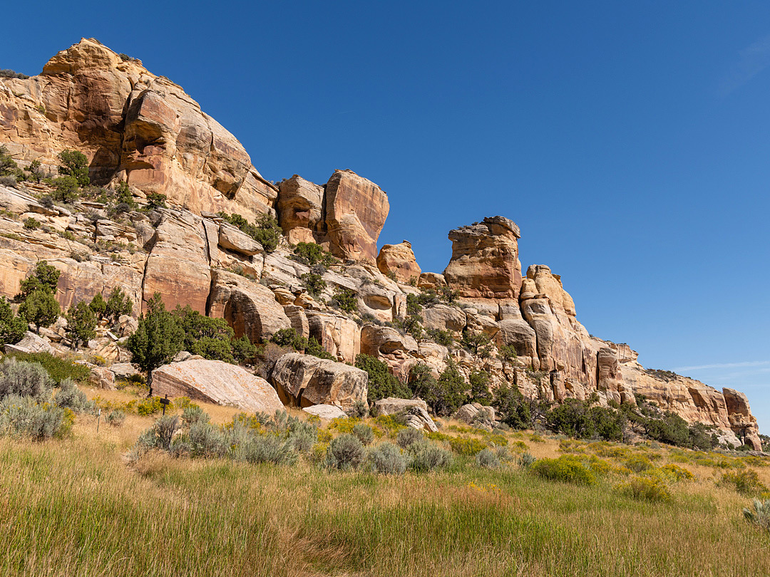 Cliffs and long grass