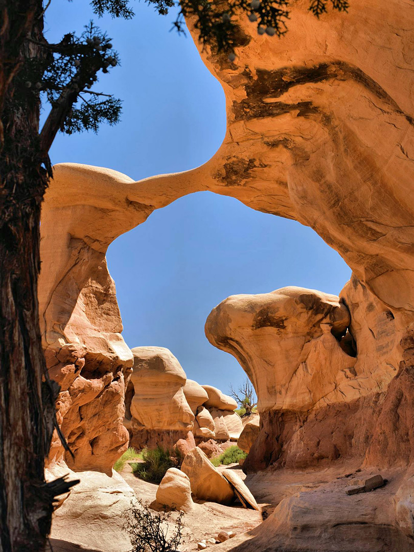 Metate Arch