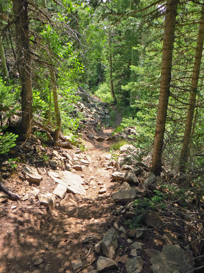 Miners Basin Trail