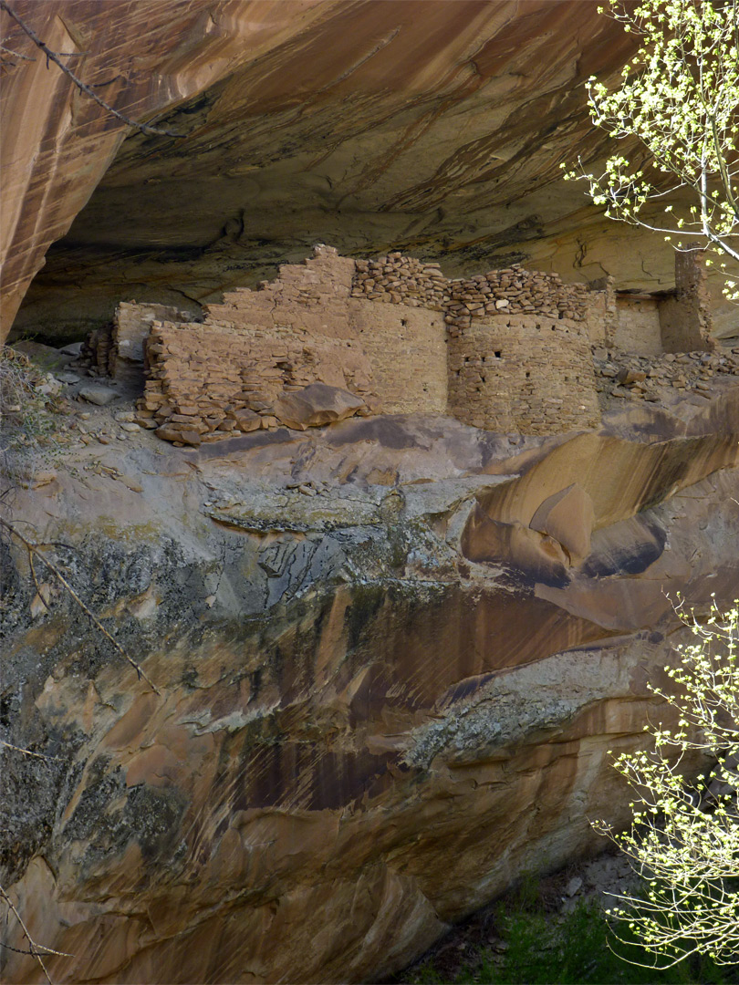 Monarch Cave Ruin