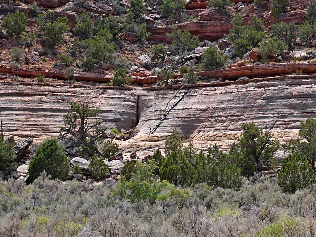 Cliff face