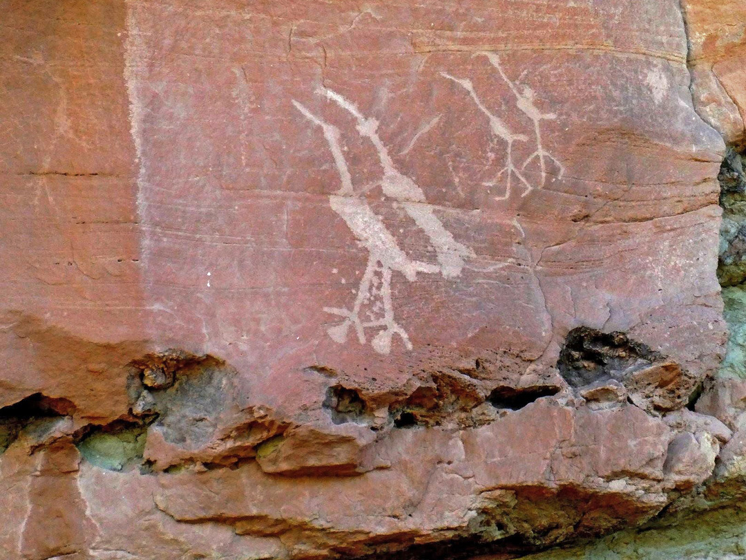 Sandhill crane petroglyphs