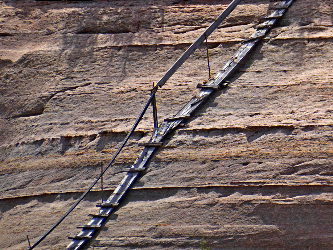 Wooden ladder