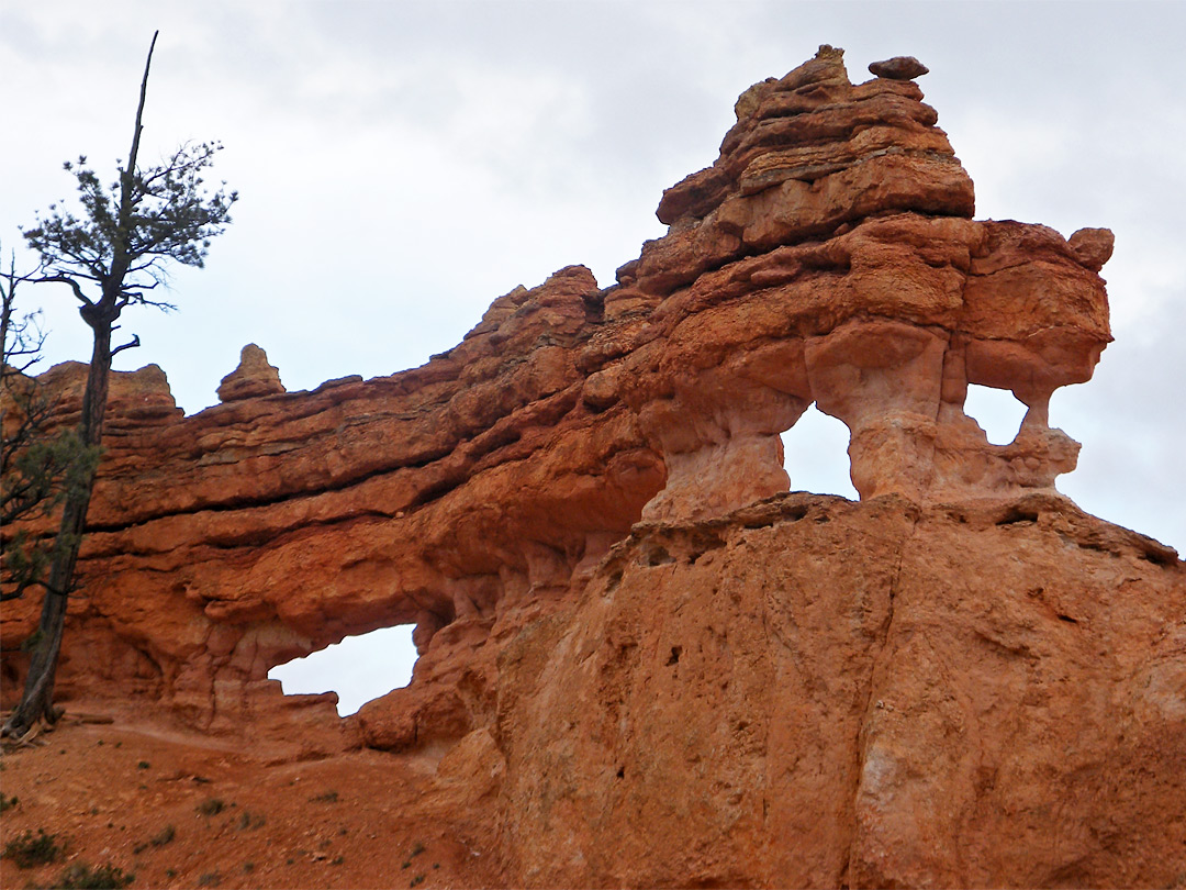 Eroded ridge