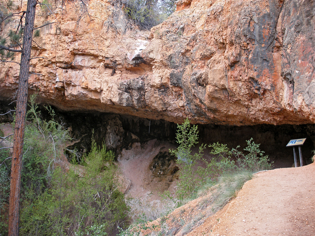 Mossy Cave