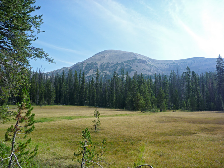 Meadow beneath Mount Agassiz