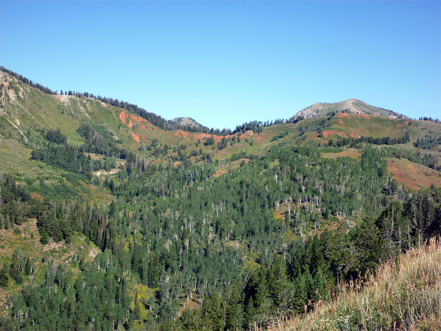 Ravine near Mount Nebo