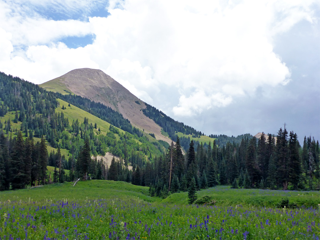 Meadow below Mount Tomasaki