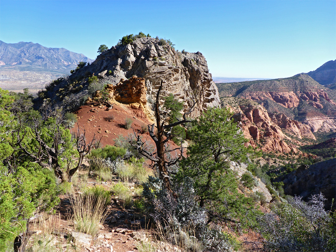 Sandstone knoll