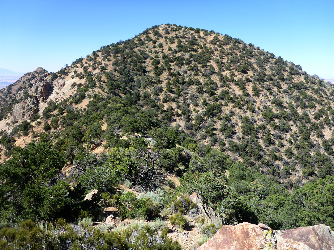 The summit hill